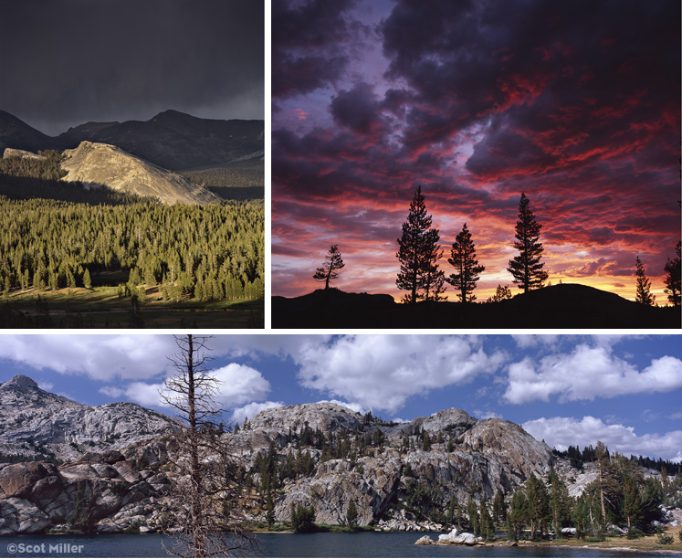 3 photographs by Scot Miller from My First Summer in the Sierra